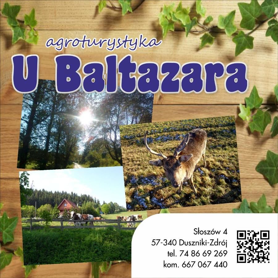 Фермерские дома Agroturystyka U Baltazara Душники-Здруй-34