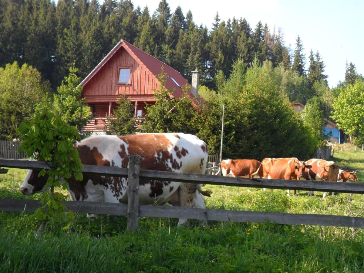 Фермерские дома Agroturystyka U Baltazara Душники-Здруй